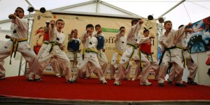 1606958_778974712141933_3511911631156155542_n